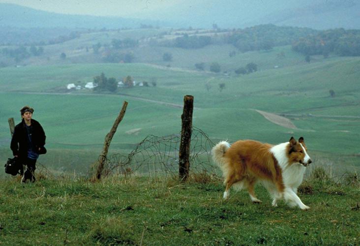 Lassie