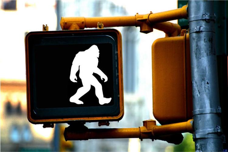 Bigfoot 6.jpg