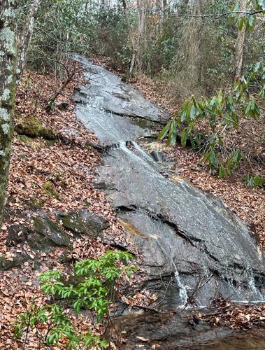 WNC Afield: Twin Ponds Trail may just 'bless your heart'