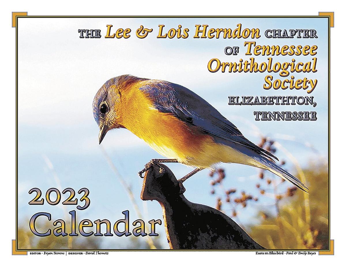 For the Birds Bluebird makes debut on calendar’s front cover