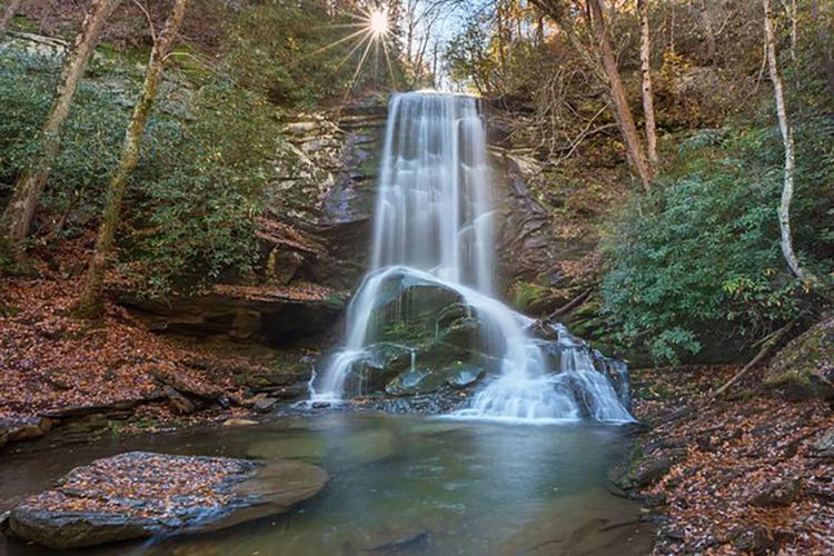 Article from Destination McDowell 4.jpg