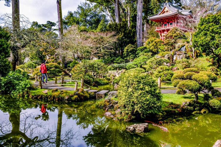 The Japanese Tea Garden in Golden Gate Park, San Francisco.