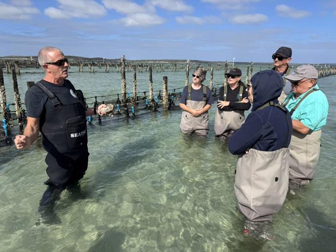 Guests wear waders to tour at oyster farm in Coffin Bay, at the southern end of Eyre Peninsula in South Australia.
