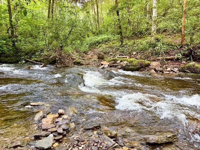 Slippery rocks and fast-moving currents make crossings on some trails perilous, especially during or after periods of heavy rain.
