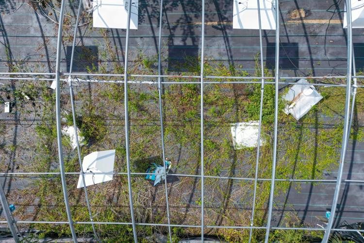 Debris litters the site of a shuttered marijuana grow in rural Holdenville.