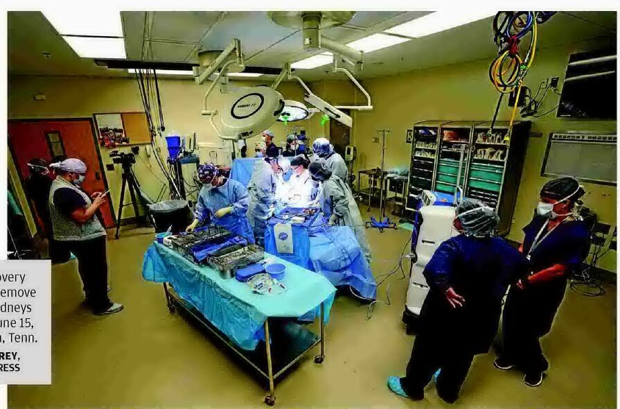 Transplant revolution