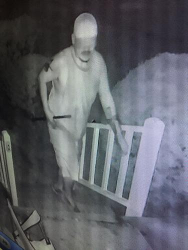 Thieves caught on camera: deputies hope public can help find them