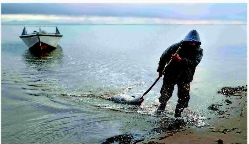 TRADITION ON THIN ICE