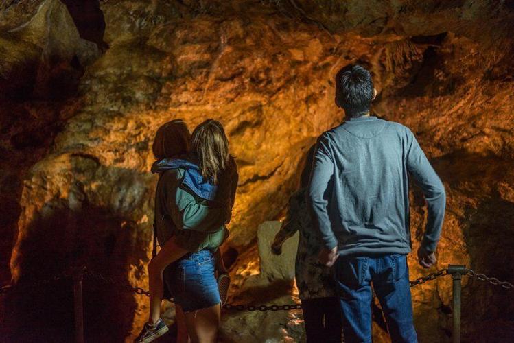 4 Great Family Activities in the Blue Ridge Mountains