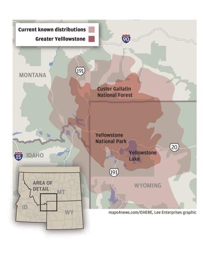 Greater Yellowstone Ecosystem