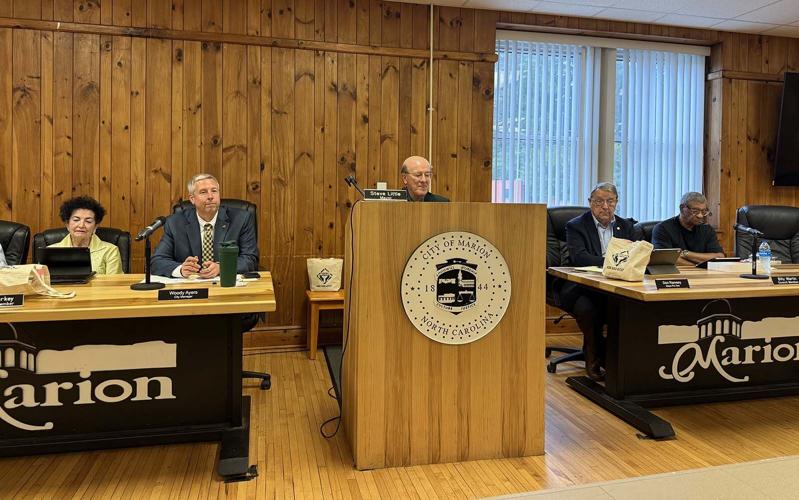 City Council 4.jpg