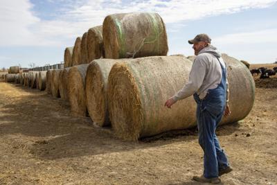A pipeline company sought to grab land from 'hundreds' of people. Now its project is threatened