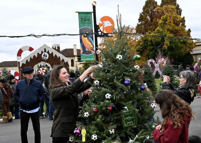 Community Members Decorate Trees at Brookfield Zoo Tree Trim.