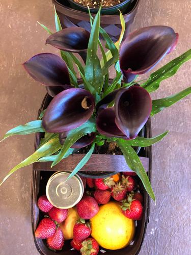 Finley’s Produce offers fresh veggies, flowers, gift items and more
