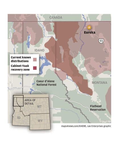 Cabinet-Yaak Ecosystem