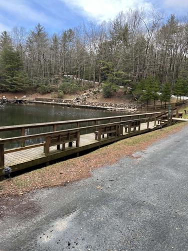 Afield in WNC: Bear Den Cascade Trail is nearby and (mostly) straight up