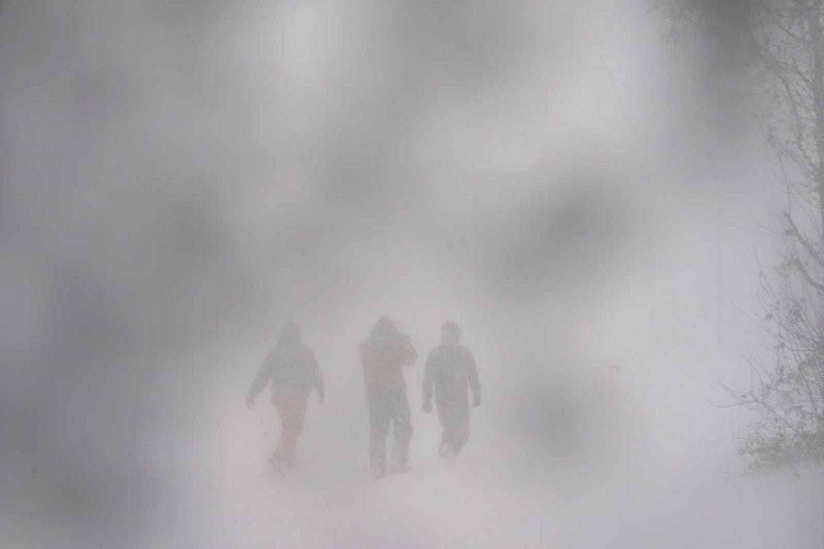Buffalo Blizzard