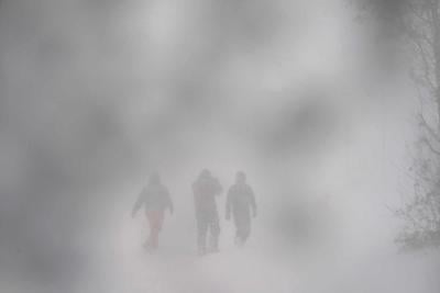 Buffalo Blizzard