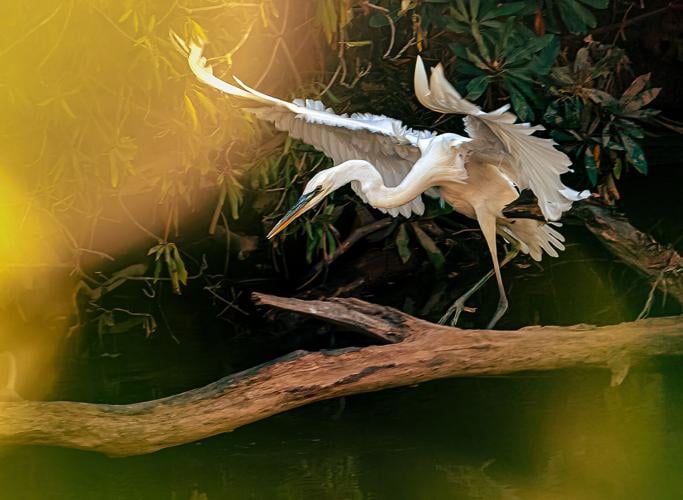 MTCC photography on display at MACA this month
