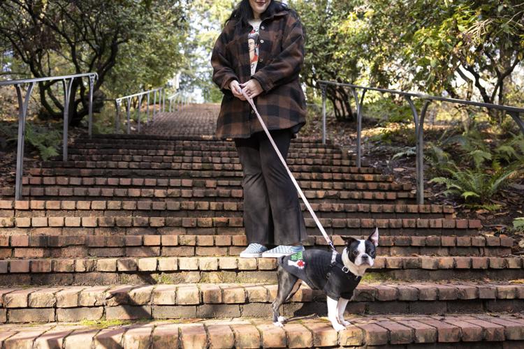 xxxDomestic Violence Assignment_Rachel