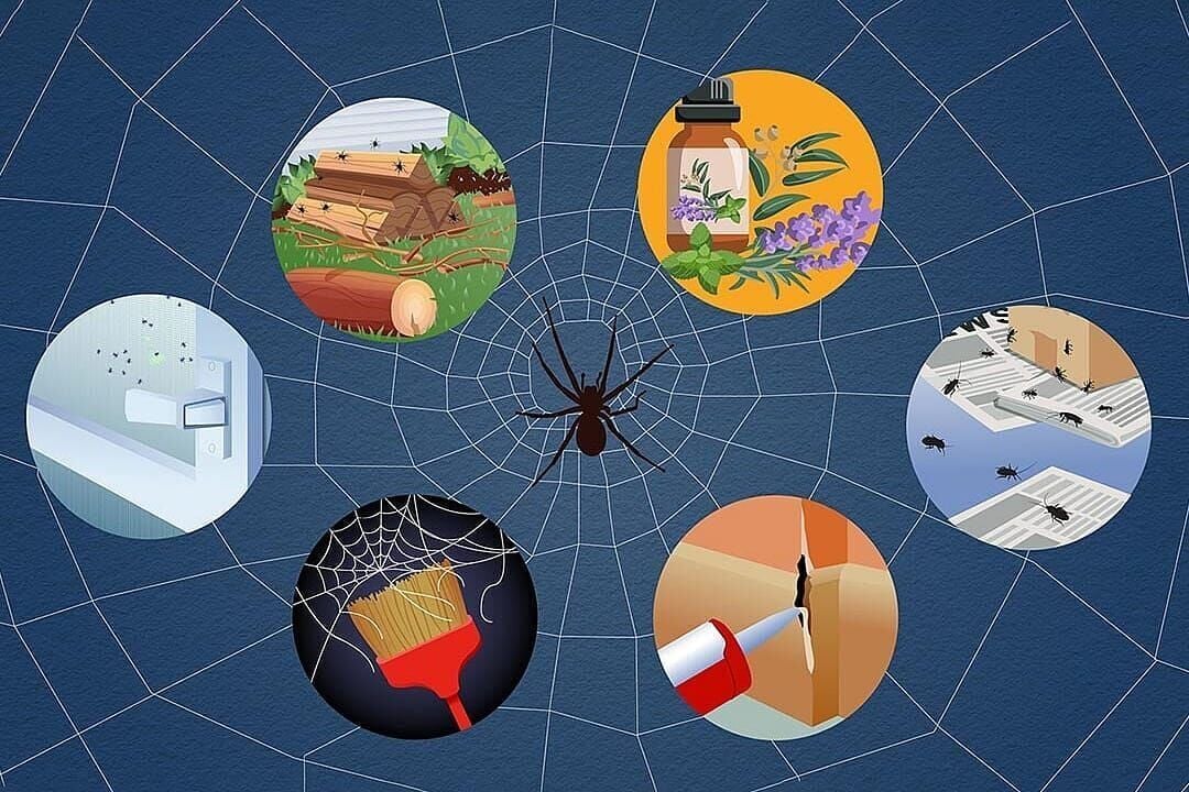 It’s spider season in your house. Evict them with this easy arach-attack hack