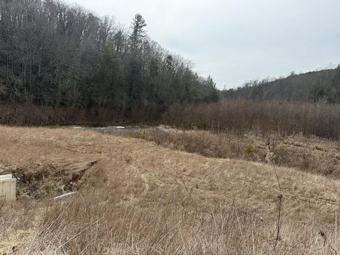 Lady Marian Dam 3.jpeg