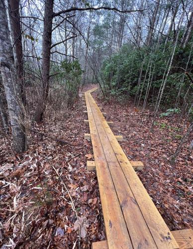 WNC Afield: Twin Ponds Trail may just 'bless your heart'