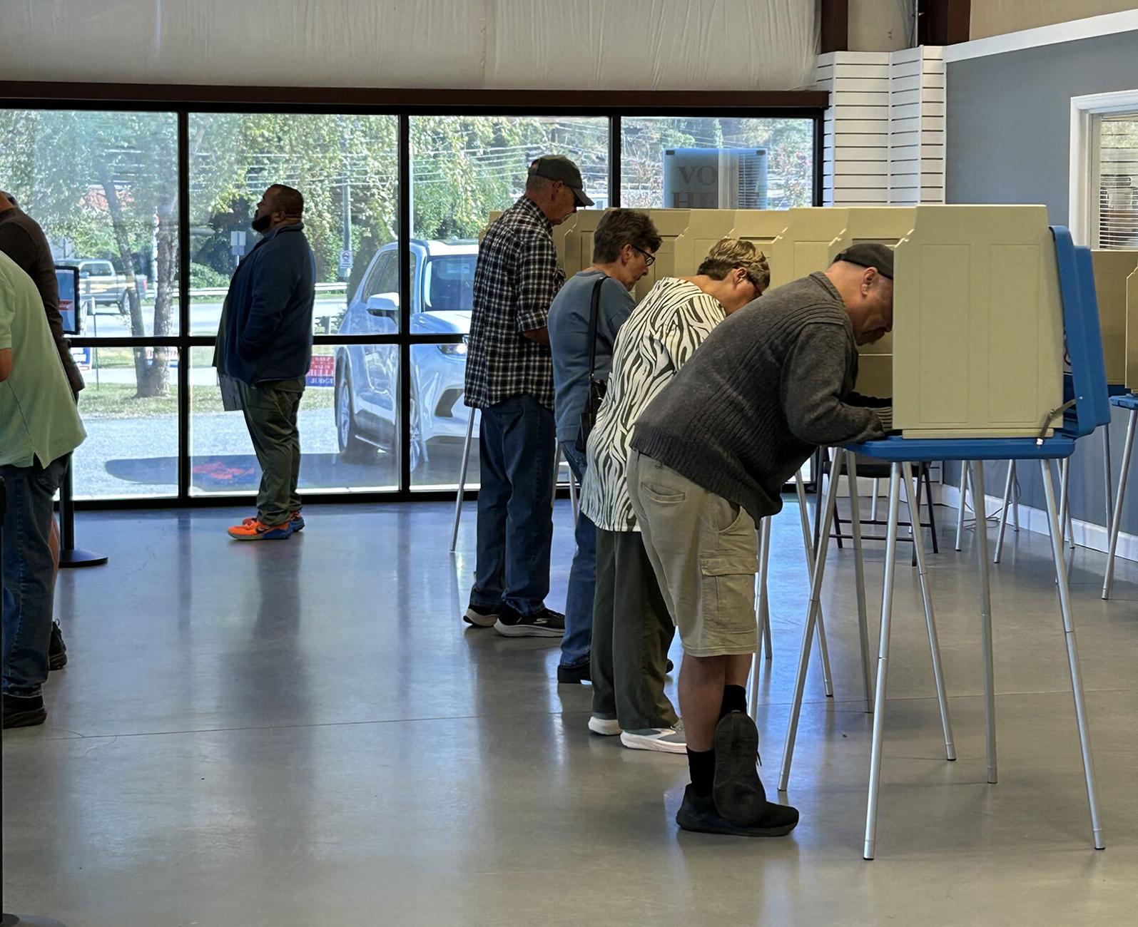 Early voting 1.jpeg