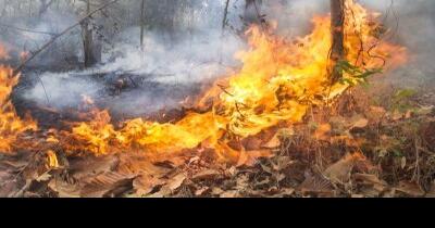 Crews seeking to contain wildfire in northern McDowell - Vimarsana News