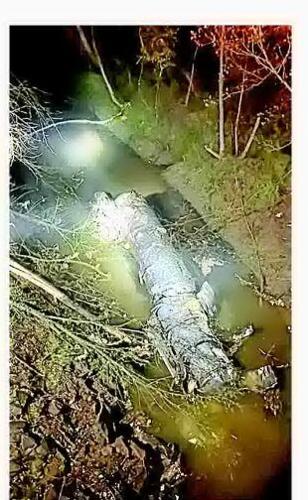 Tanker truck of milk crashes on I-40