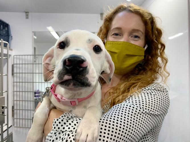 Brother Wolf offers mobile spay and neuter clinic for McDowell