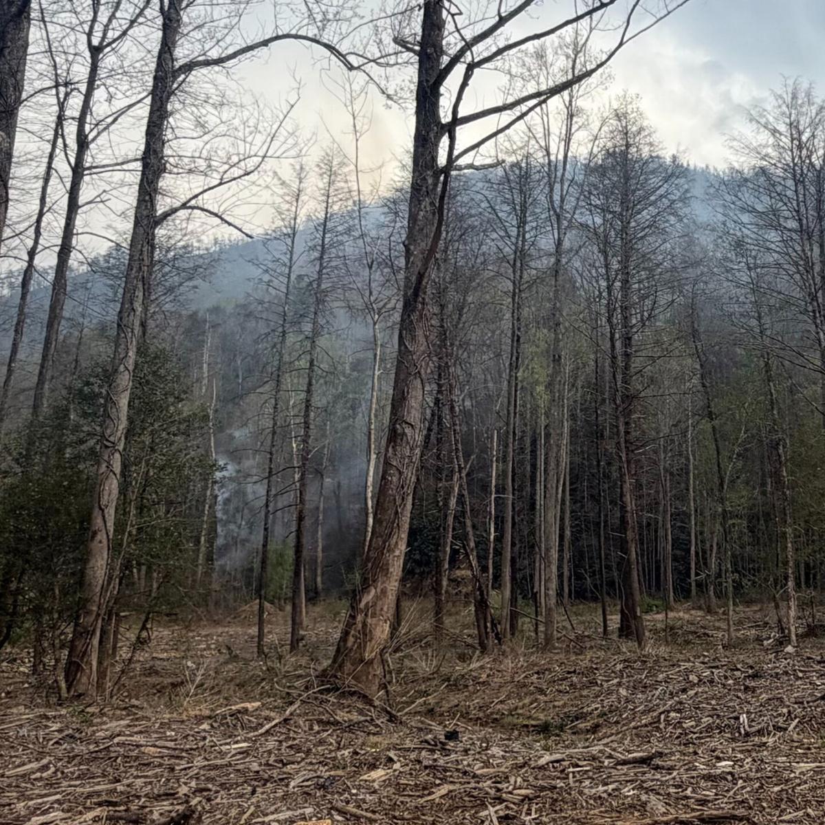 Final fire update.jpg