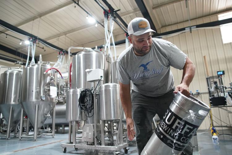 Golden Snowbeer (copy)