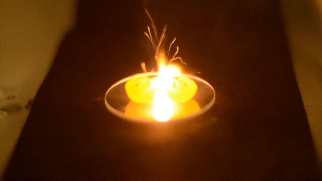 What happens when you put grapes in microwave National News