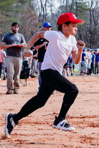 Sorting them all out