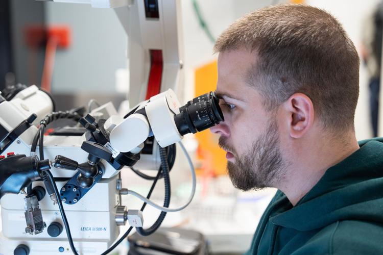 Daniil, a Ukrainian military surgeon whose last name is being withheld for security reasons, learns microsurgical techniques useful for repairing war injuries, at the UW Microsurgery Regenerative Medicine Lab in Madison on April 2. The plastic surgery divi