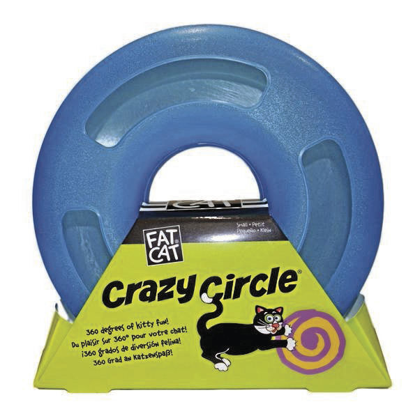 cat toy circle with ball inside