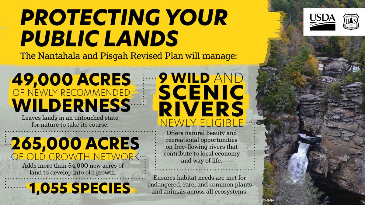 23 fseprd1090060 image.jpg