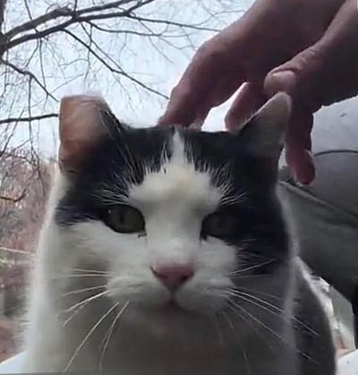 Olive's story.jpg
