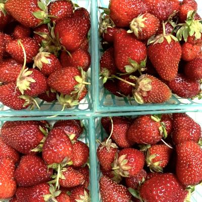 Historic Marion Tailgate Market will have free bucket gardens this week