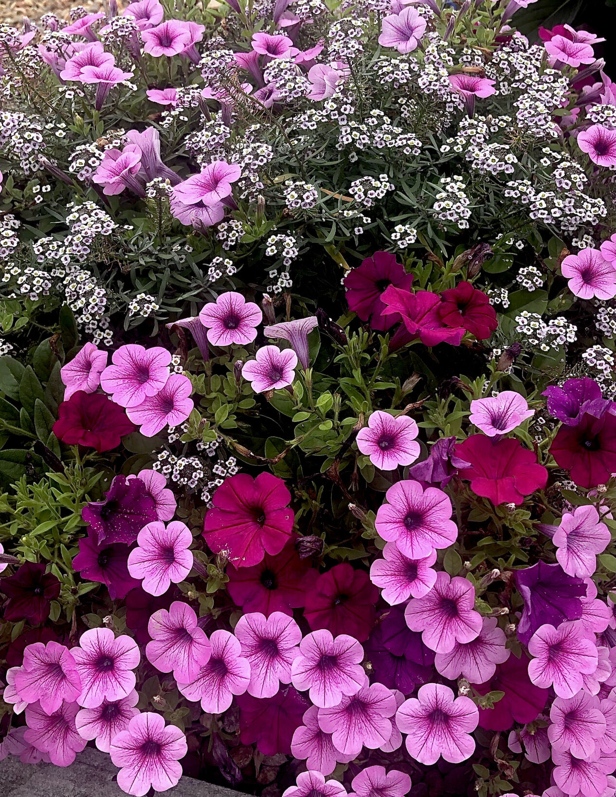 The designer mix is called Boost of Energy and will literally put a spring in your step.