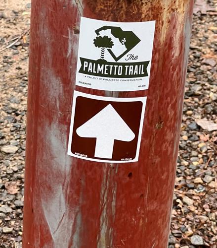 WNC Afield: Twin Ponds Trail may just 'bless your heart'