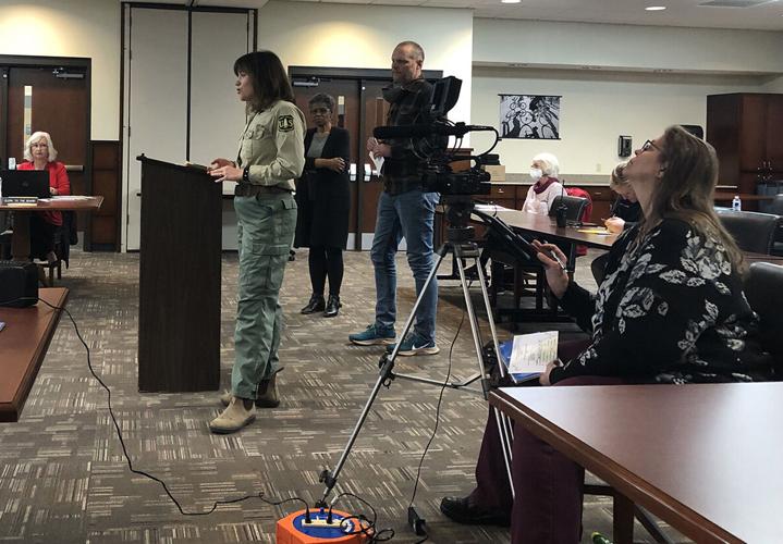 McDowell County Commissioners approve merger of Rec Department, Little League