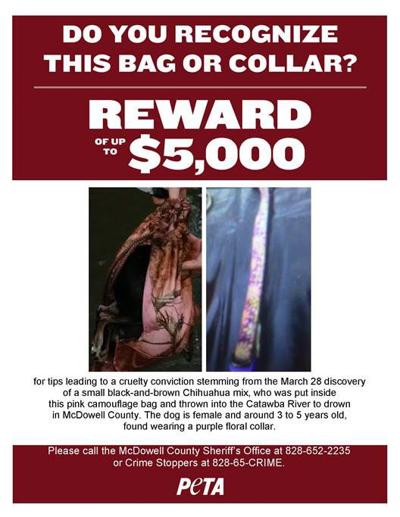 PETA offering cash reward for information on dog killer