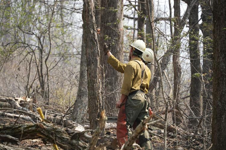 us forest service bee creek rock 1.jpg