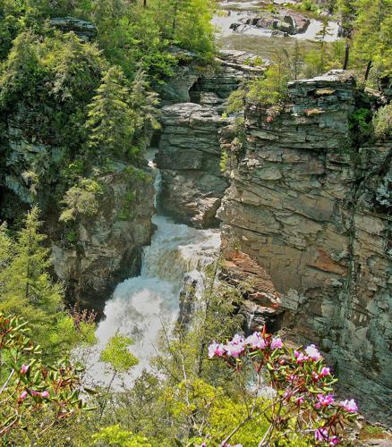 Southern highlands beckon with trails for walkers and hikers of all ages