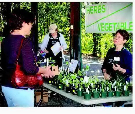 Master Gardeners of McDowell County hold Spring Fling Plant Sale