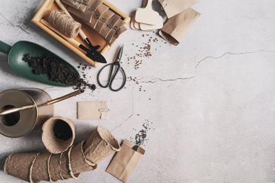 Seed storing