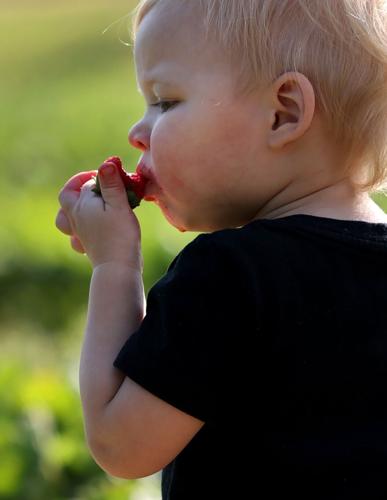 Jones Strawberry Farm