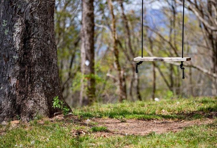 A wooden swing hangs from a tree at Deaverview Mountain in Asheville, N.C., on Monday, April 13, 2026. Buncombe County recently closed on the 342-acre property, which is slated to become a public park.